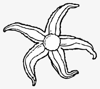 Clipart Info - Water Animal Clipart Black And White #4516275