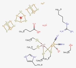 A Single Electron Is Transferred From The Ni Centre - Hydrogen #4518492