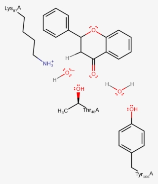 The Cyclisation Reaction Proceeds Through A Transition #4518507