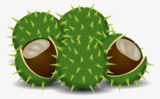 Free A Couple Of Chestnuts - Clip Art #4519819