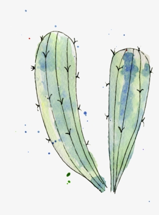 Blue Green Cactus Watercolor Hand Painted Transparent - Illustration #4520063