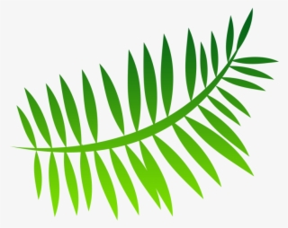 Fern Png Image #4521197