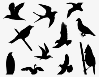 Lovebird Clipart Small Bird - Free Bird Silhouette Vector #4523931