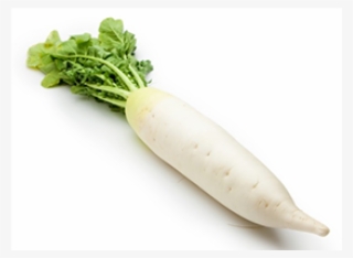 White Radish Png - Mula Vegetables #4524844