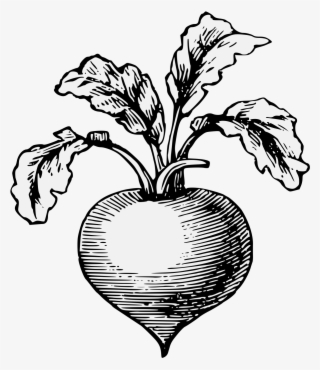 Details, Png - Stock Illustration #4524894