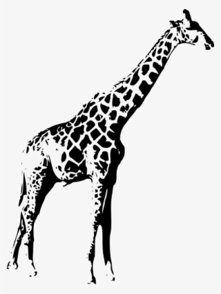 Png Transparent Library Giraffe Black Silhouette Tall #4525487 Png Transparent Library Giraffe Black Silhouette Tall #4525487
