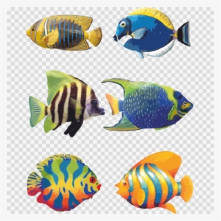 Download Tropical Fish Drawings Clipart Angelfish Koi - Fish Drawing Images With Colour #4525492