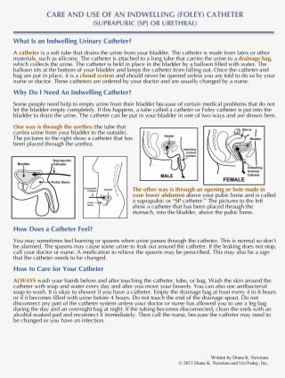 Careofaniuc4-2 - Document #4525906