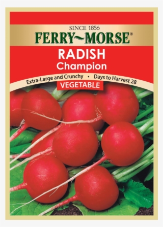 Ended - Ferry Morse Cherry Belle Radish Seed Packet #4525910
