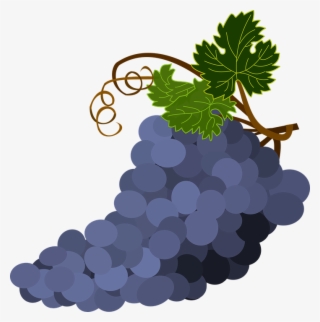 Racimo Uvas Vector Png - Weinblatt Mit Trauben #4527843