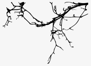 Simple Tree Branch - Tree Branch Silhouette Png #4527975 Simple Tree Branch - Tree Branch Silhouette Png #4527975