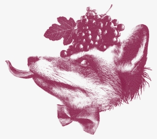 Lama La Uva Sevilla #4528274