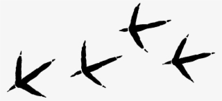 Turkey Foot Prints Png #4529145