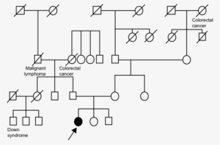 Arrow Indicates The Proband - Diagram #4530374