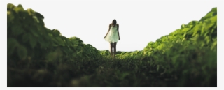 Great Visual Ideas - Woman #4531279