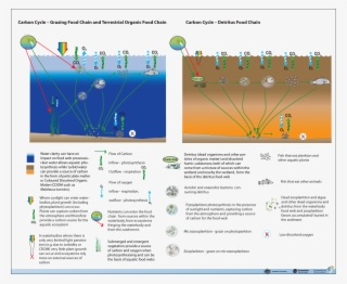 22 March - 'wanted. Child Molester' #4531772
