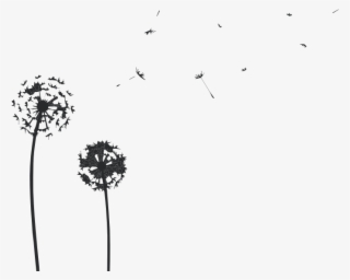 Dandelions Wall Decal Stickersstickers - Cow Parsley #4532241