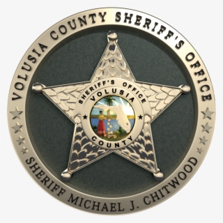 Scammers' Insults And Injury - Volusia County Sheriff's Office Logo #4533977
