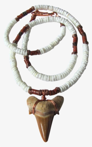Large Sharks Tooth On White Shell Necklace With Goldstone - Shell Necklace #4535000