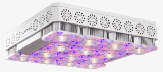 Lifted Led City Full Spectrum Grow Light Png Broad - Light #4535053