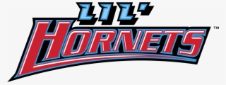 Delaware State Hornets Logo Png Transparent - Delaware State University Hornets Logo #4535438