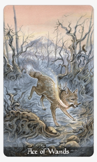 Ace Of Wands - Tarot #4537274