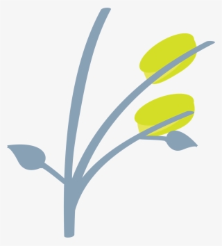 Open - Thumbnail #4537400