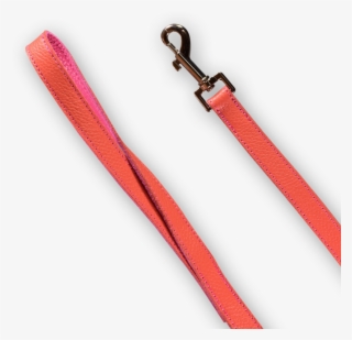 Dog Leash - Dog #4538382