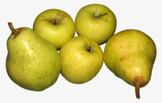 Apples, Pears, Fruit, Organic, Food - Peren Png #4541020