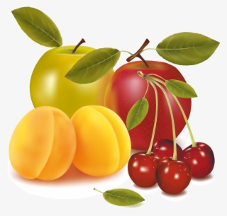 Apples - Cherries Apricots Apples Fruit Mugs #4541391