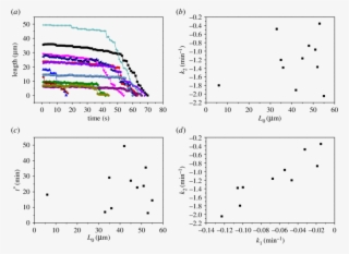 Results From Analysis Of Video Microscopy On The Dissipation - Diagram #4541393