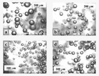 Typical Image Of Air Bubbles In - Circle #4541602