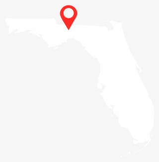 Stay Tuned For Updates On Our Tallahassee Store Opening - Florida Results Voting 2018 #4543620