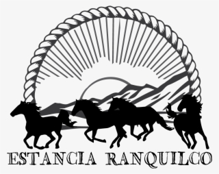 Connect With Us - Lovely Horse Running Sticker #4544150