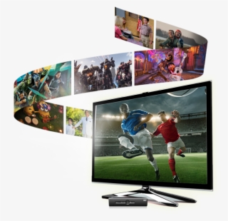 Regalo - Find Your Voice - Coco #4545146