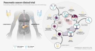 Progress - Graphic Design #4545535