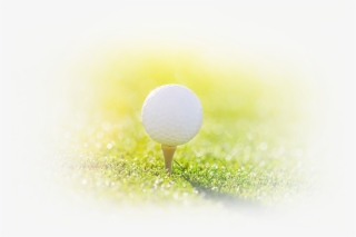 We've Been Successful Thanks To Awesome Content, A - Speed Golf #4546412