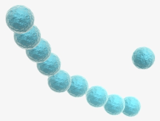 Diasorin Molecular Simplexa® Group A Strep Direct Kit - Diasorin Molecular Llc #4546724