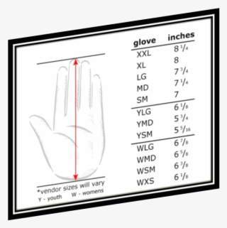 Measuring Batting Glove Sizes - May #4546979