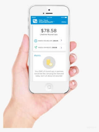 Fifth Third Bank Introduced The Fifth Third Momentum - Fifth Third Bank Momentum #4548878