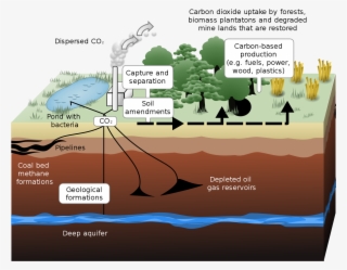 Carbon Capture And Storage #4549212