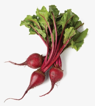 Beet Png Image Transparent Background - Vegetable Beets #4549300