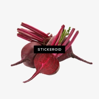 Vegetable - Beets Vegetable #4549362