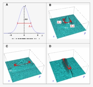 The Heisenberg Uncertainty Relation - Uncertainty Principle #4549486