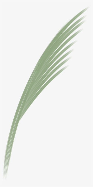 V0xyvzw - Sweet Grass #4549562