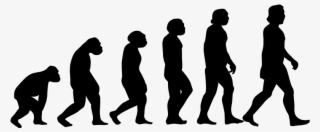 Karate Evolution #4549799