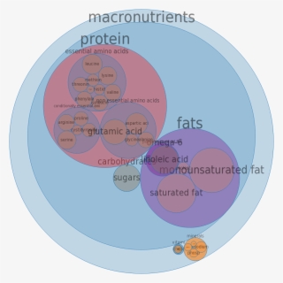 Scrambled Eggs -all Nutrients By Relative Proportion - Pie Chart Of Wendys Mcdonalds Burger King #4550917