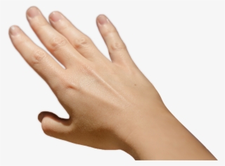 Hands Touching Png #4551410