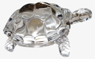 Turtle - Crystal Turtle Png #4551752