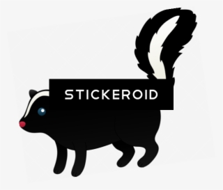 Skunk Animals - Illustration #4552225